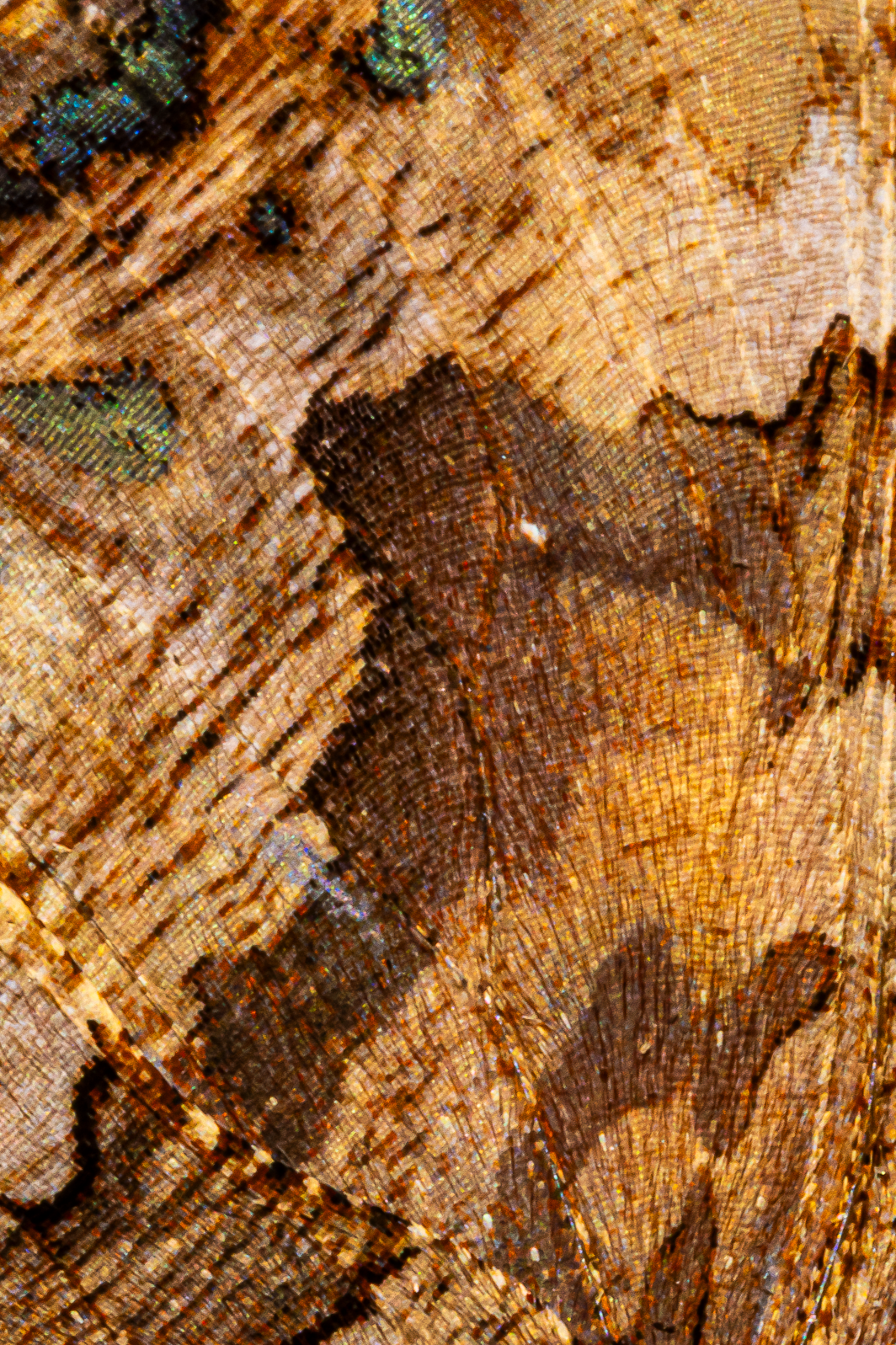 Screenshot 2025-12-20 231332.png