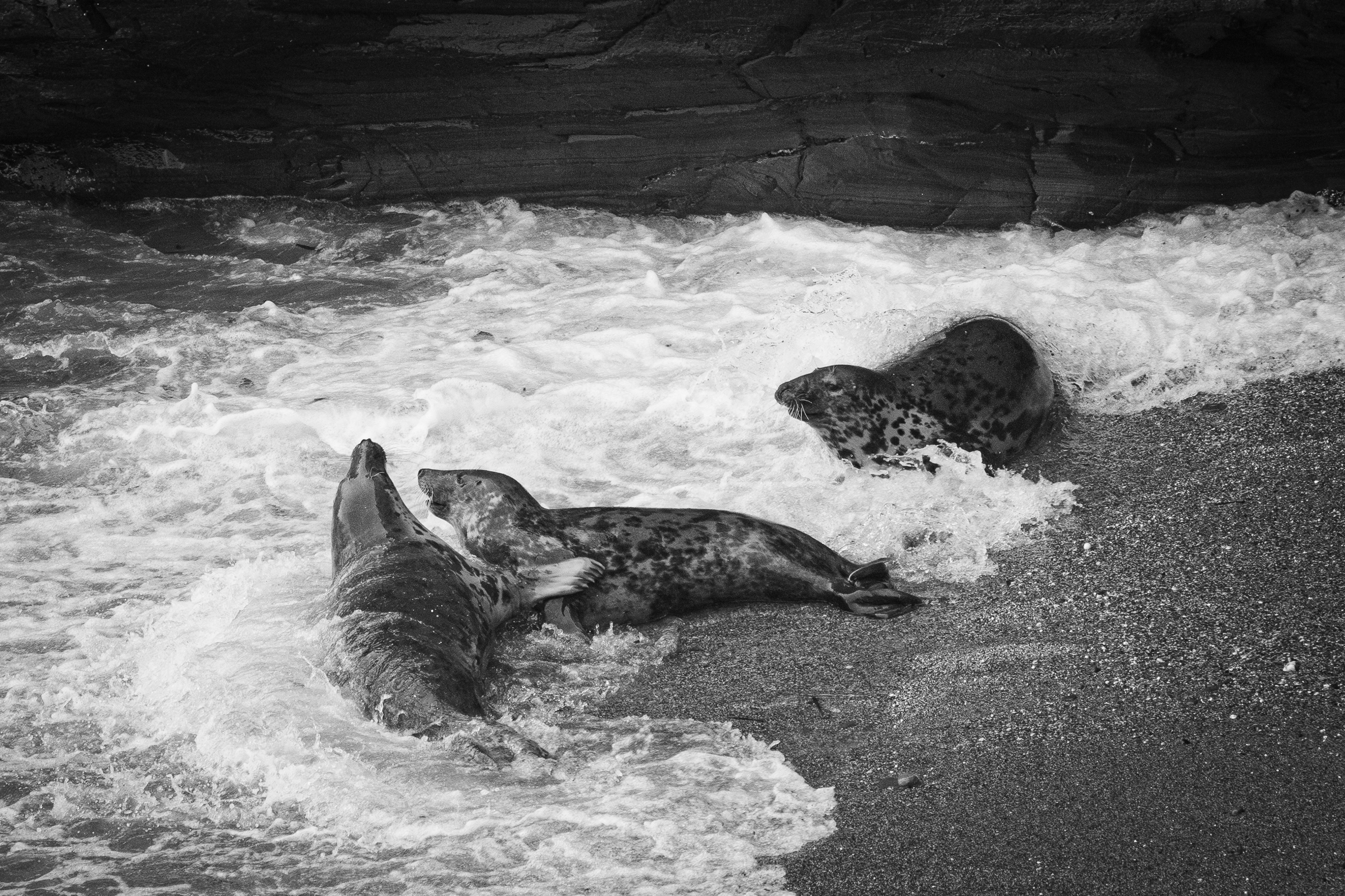 Screenshot 2026-02-04 224551.png