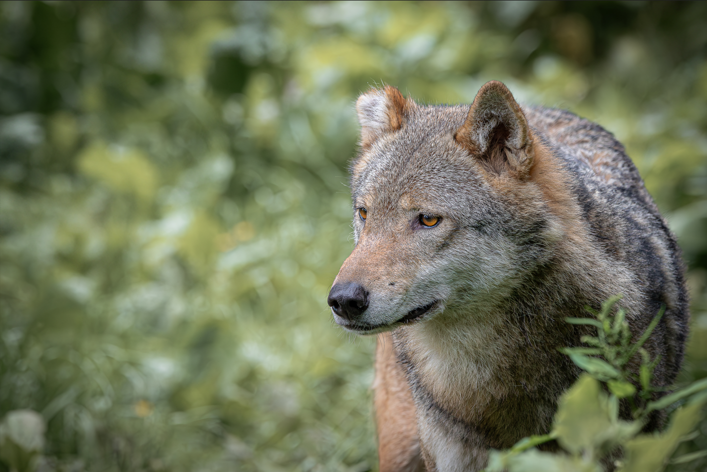 Screenshot (288).png