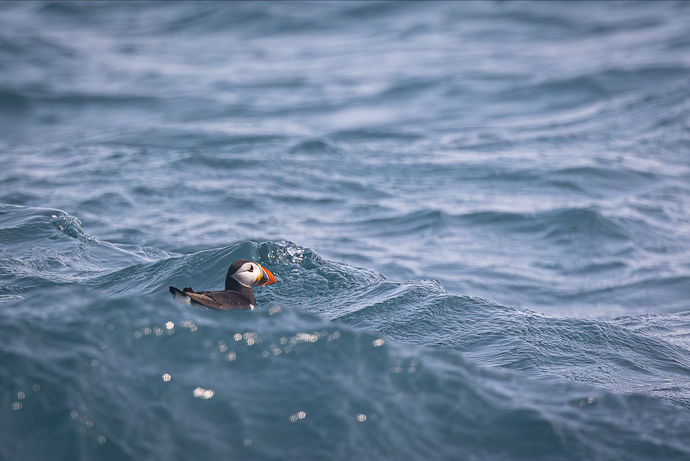 Screenshot 2026-02-05 133125.png