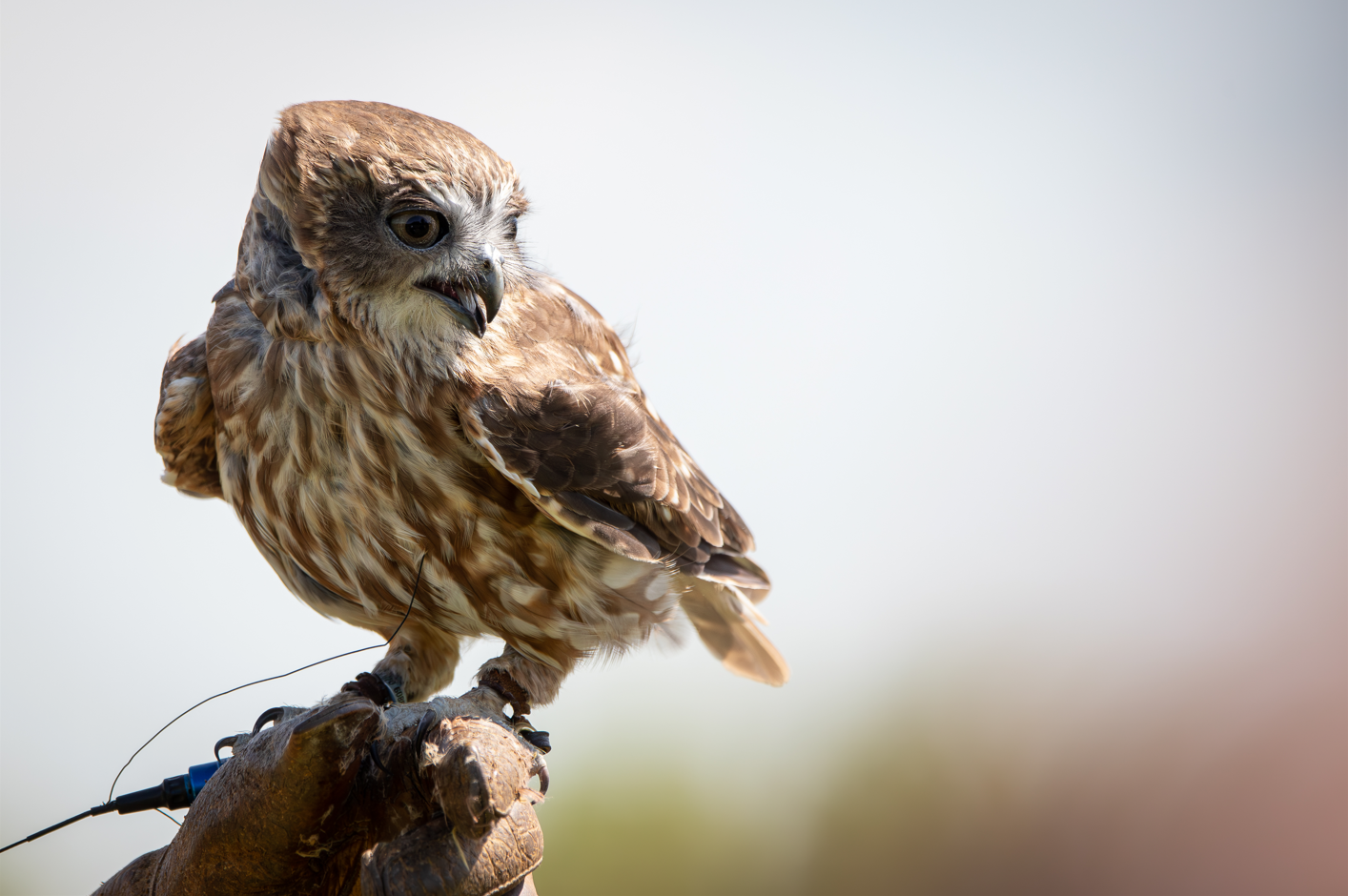 Screenshot (262).png