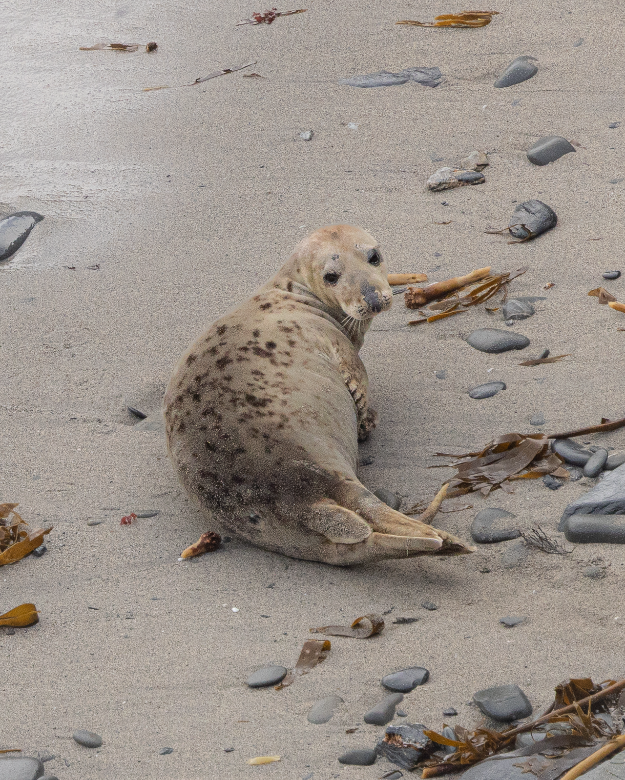 Screenshot 2026-02-04 224524.png