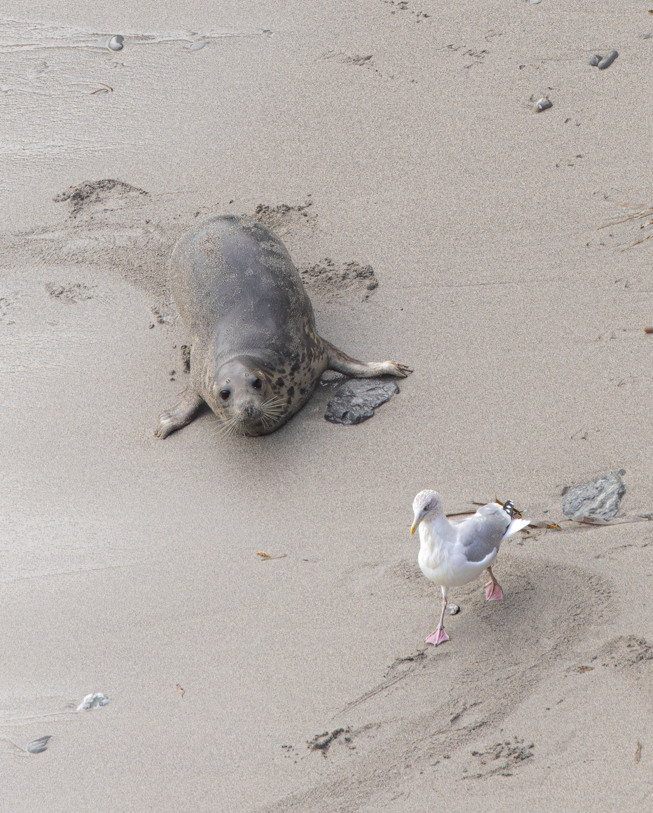 Screenshot 2026-02-04 224557.png