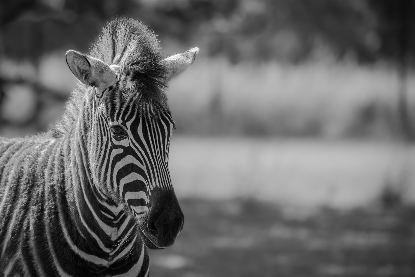 Screenshot (297).png