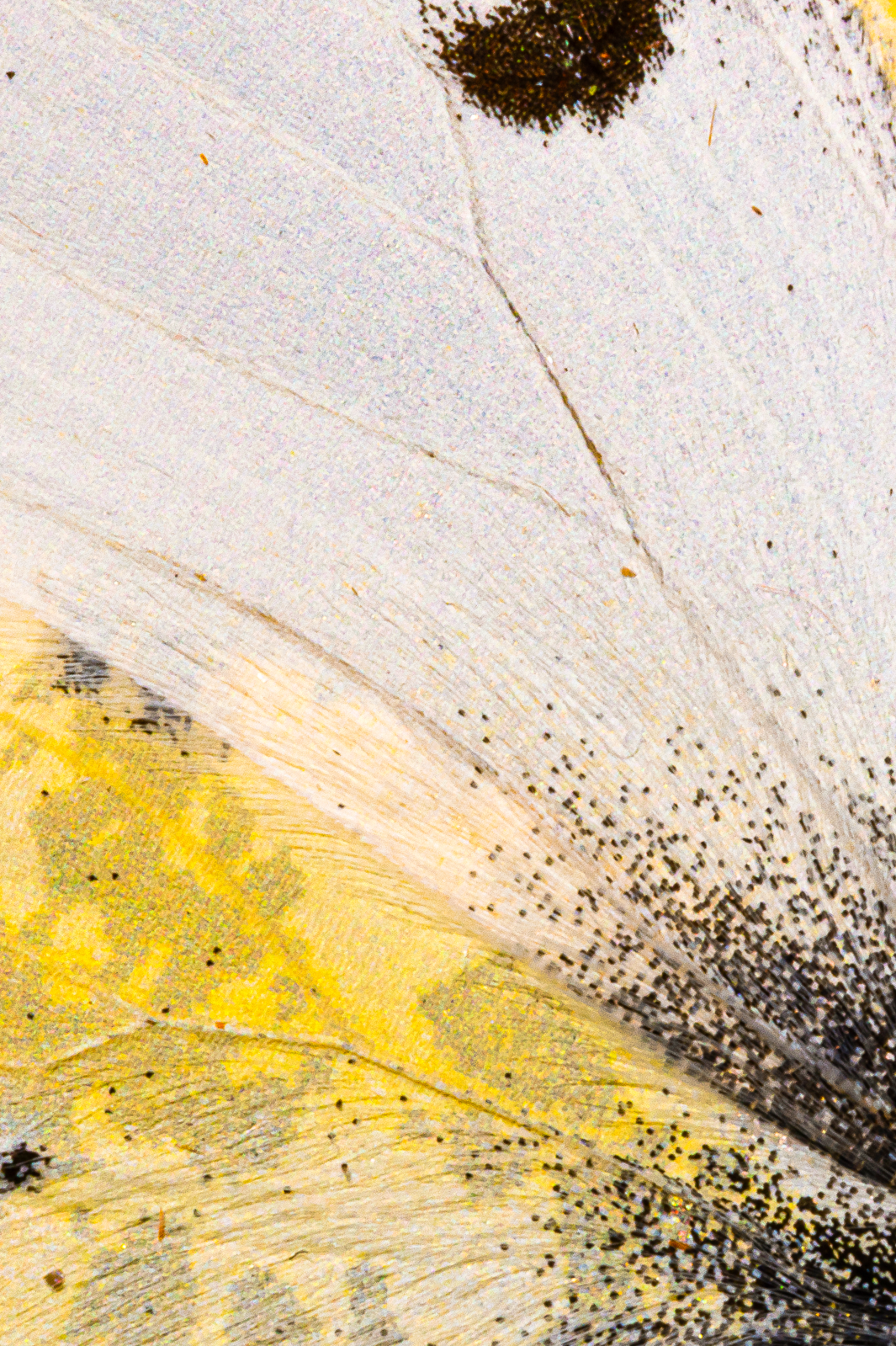 Screenshot 2025-12-20 230649.png