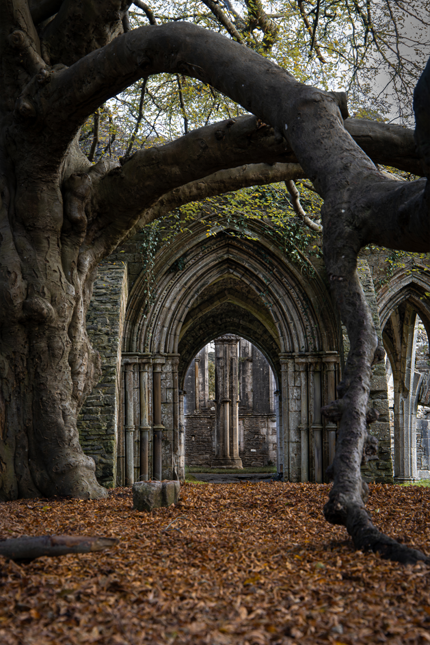 Screenshot (166).png