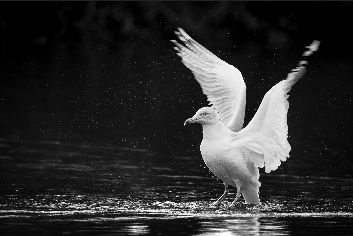 Screenshot (117).png