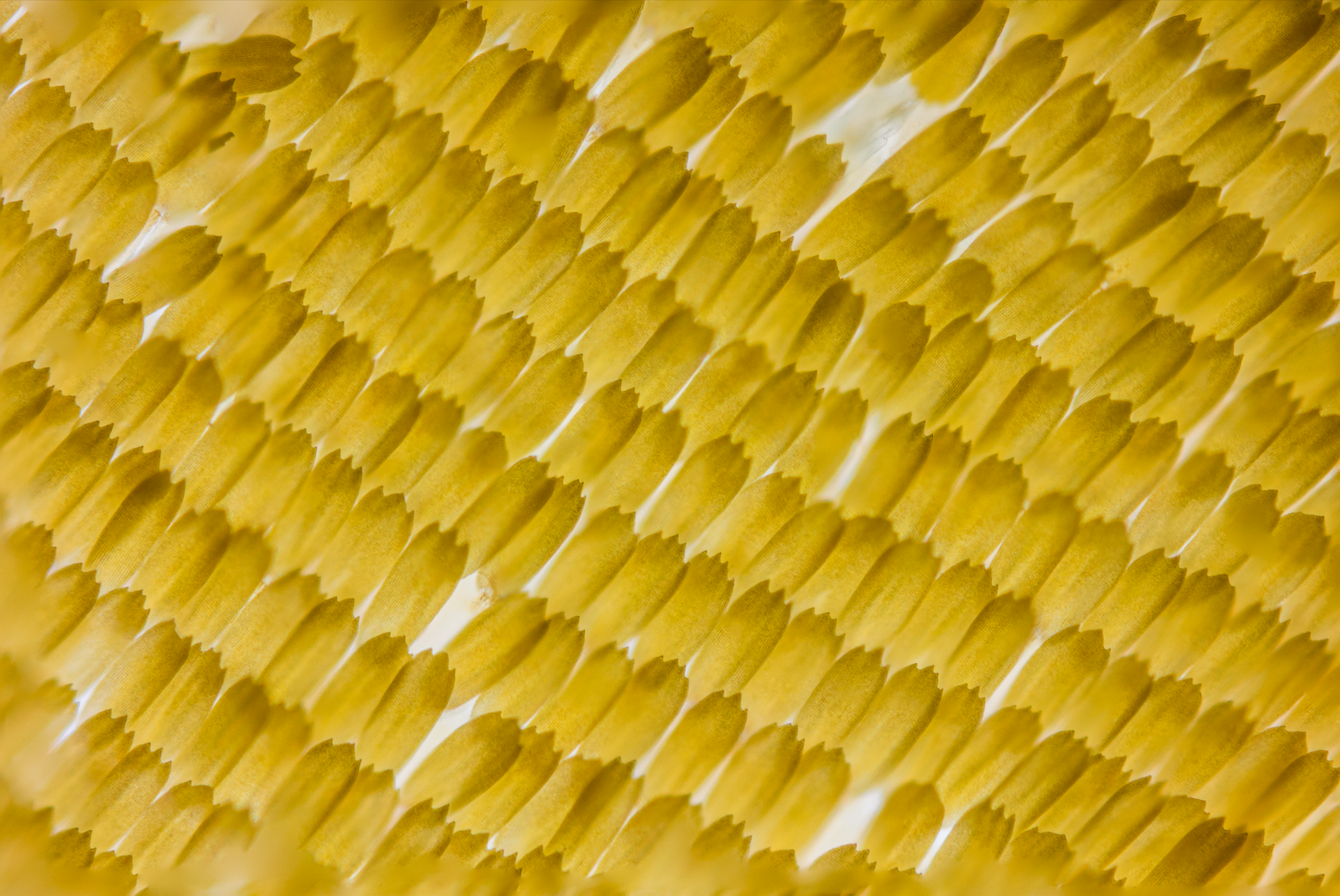 Screenshot 2025-12-20 230825.png