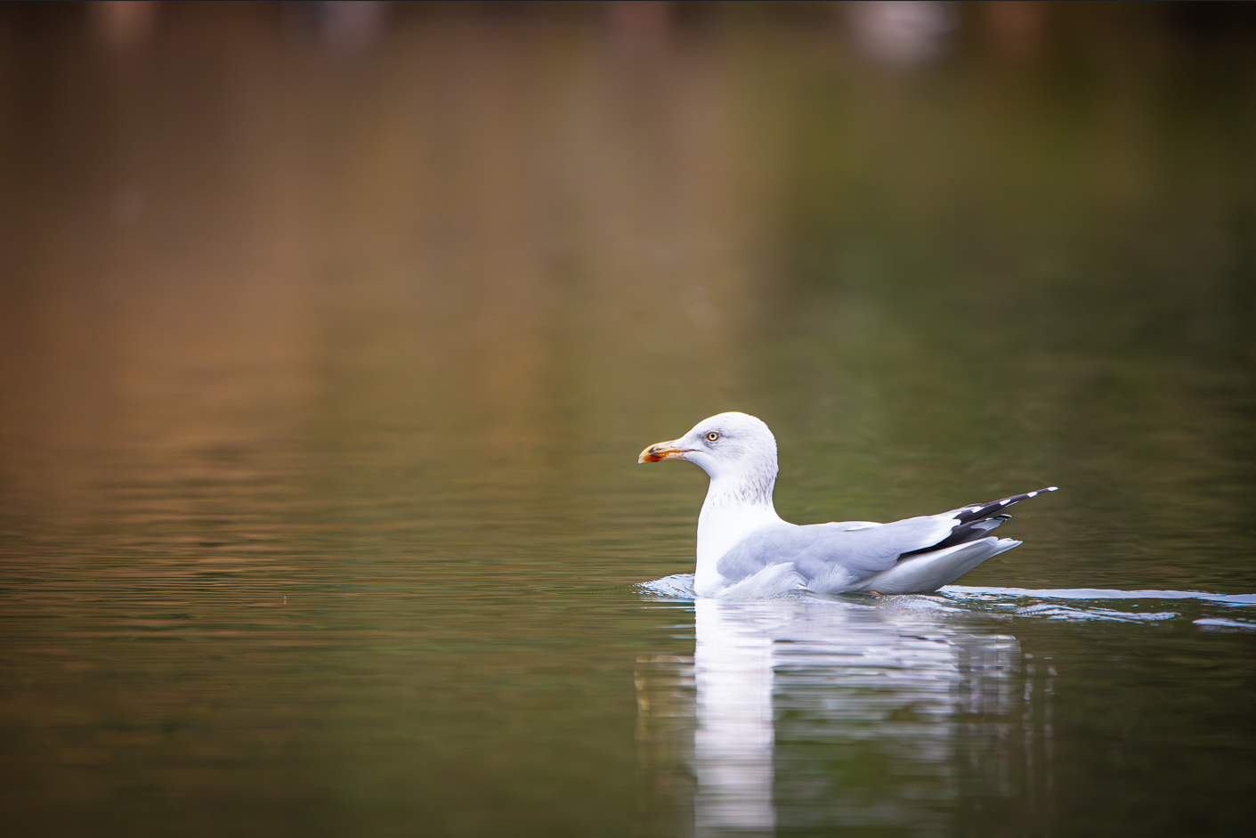 Screenshot (141).png