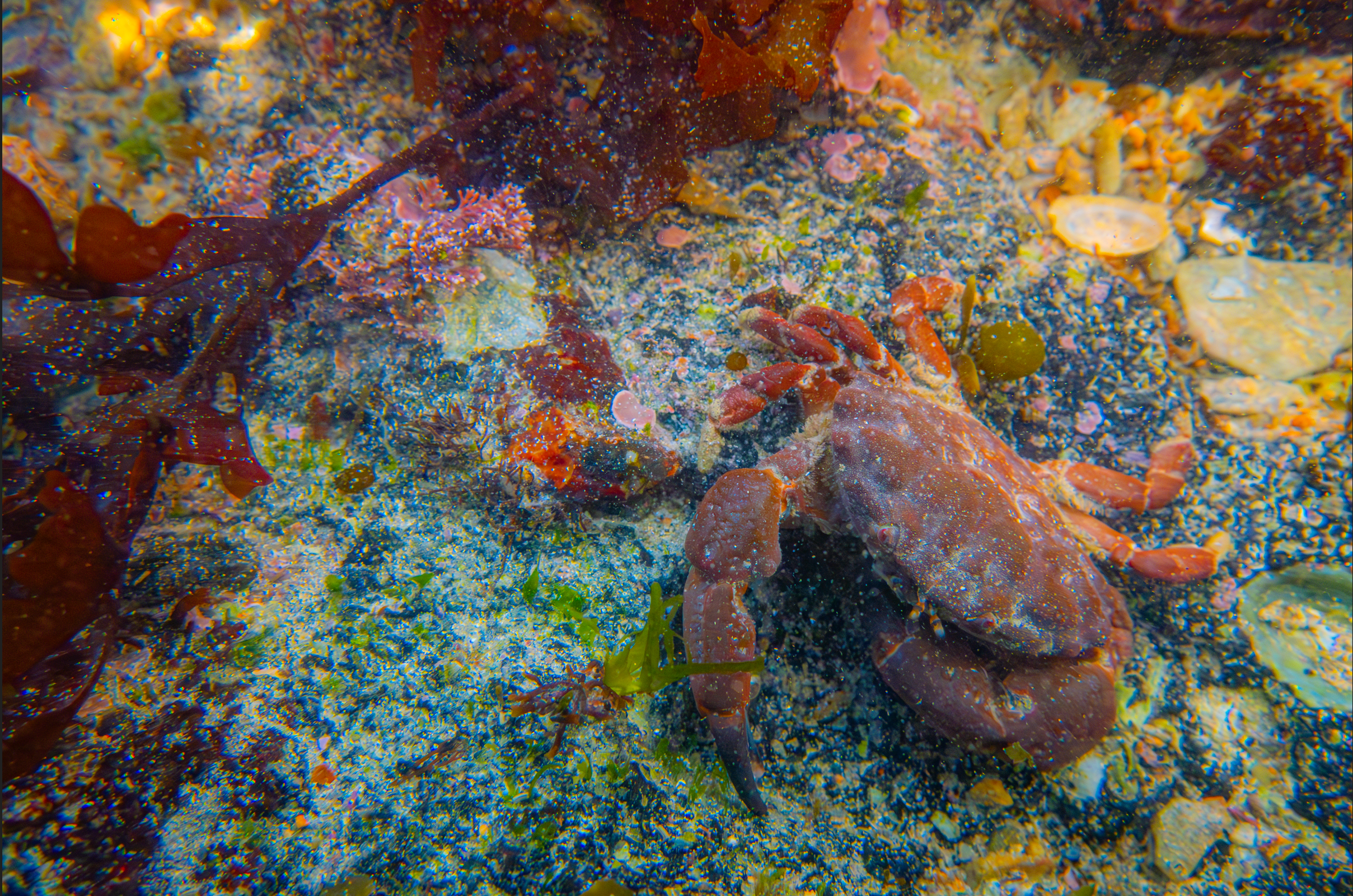 Screenshot 2025-05-22 220408.png