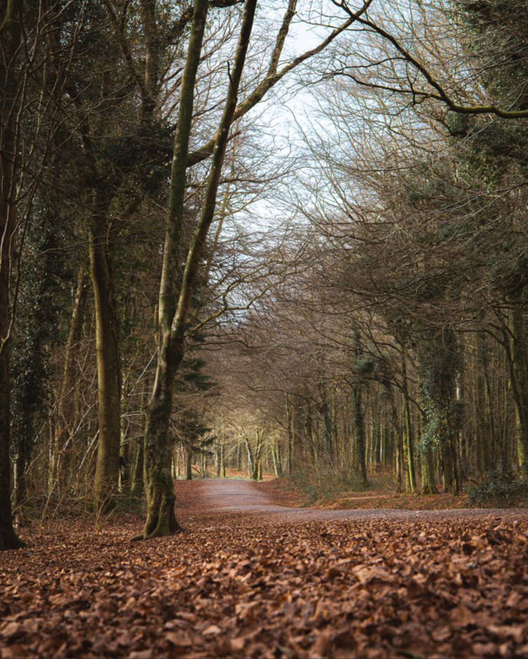 Screenshot (177).png