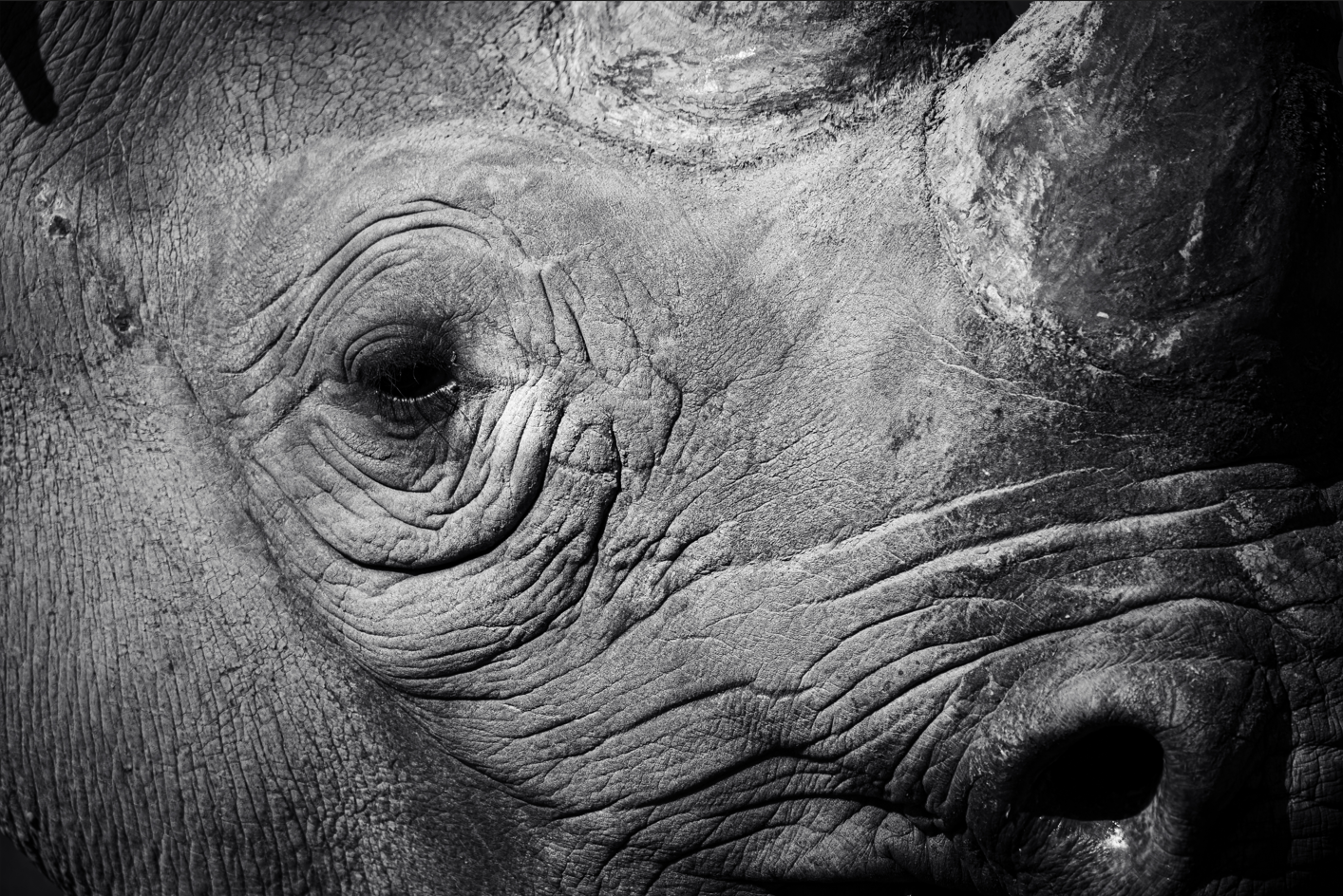 Screenshot (276).png