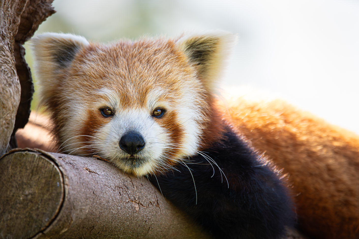 Screenshot (292).png