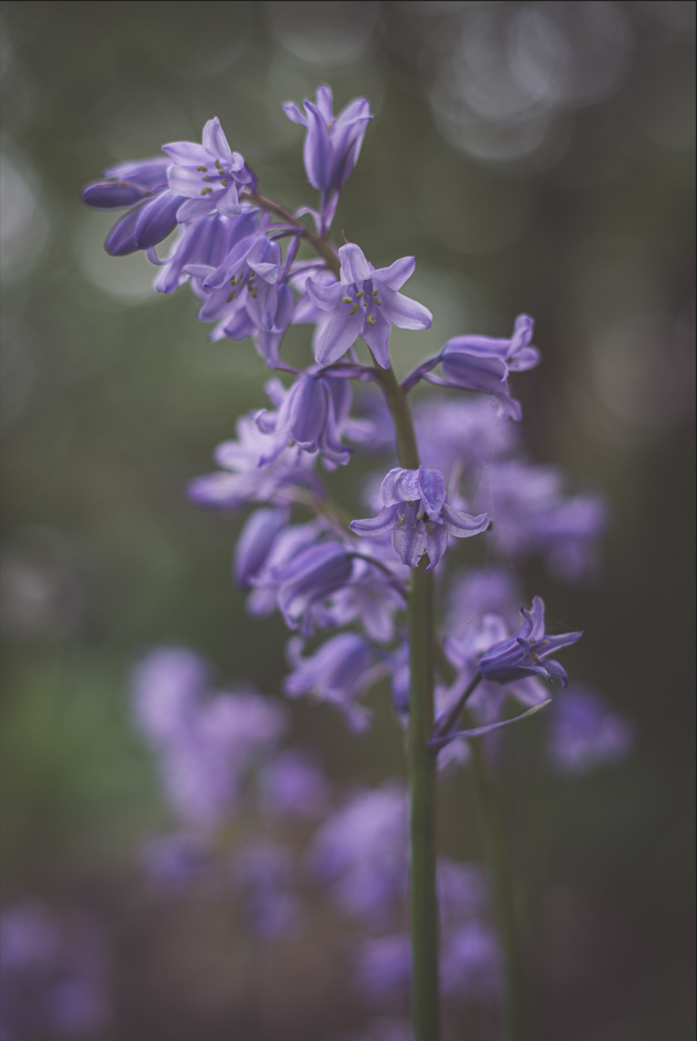 Screenshot (399).png