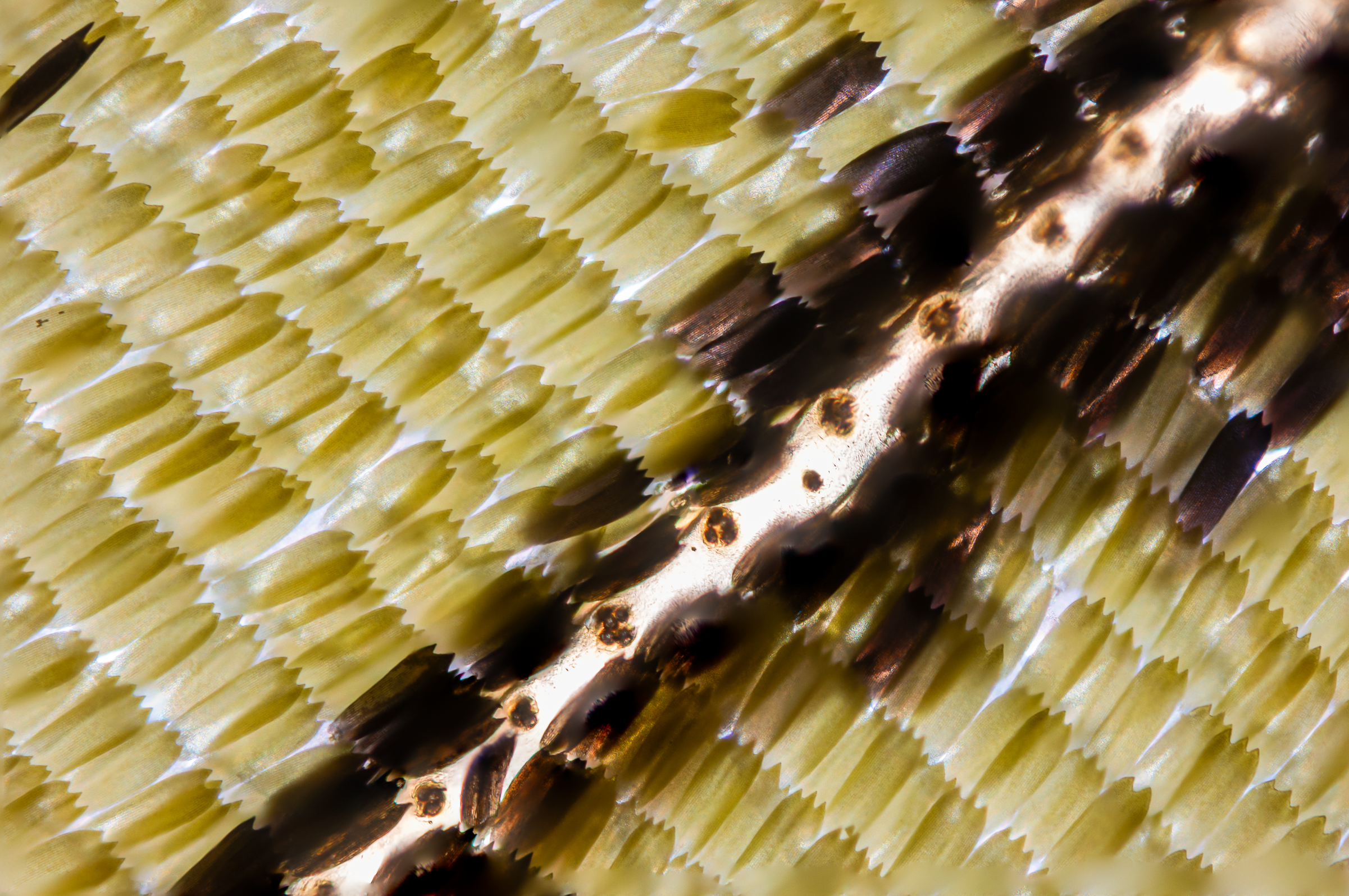 Screenshot 2025-12-20 231531.png