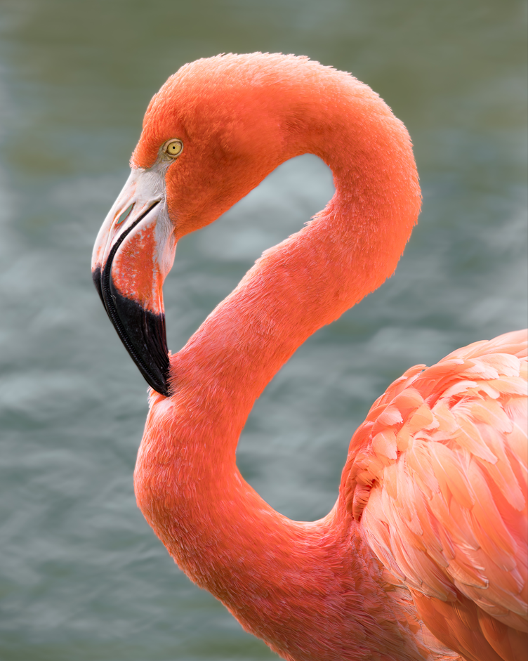 Screenshot (237).png