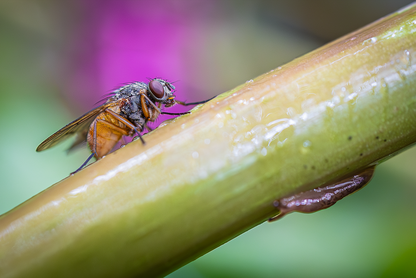 Screenshot (105).png