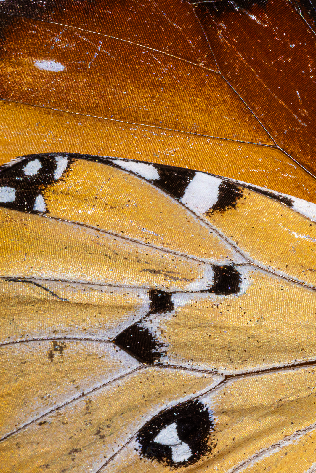 Screenshot 2025-12-20 231023.png