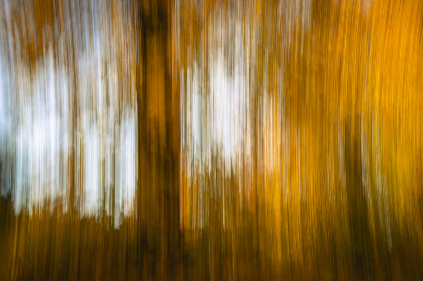 Screenshot (183).png