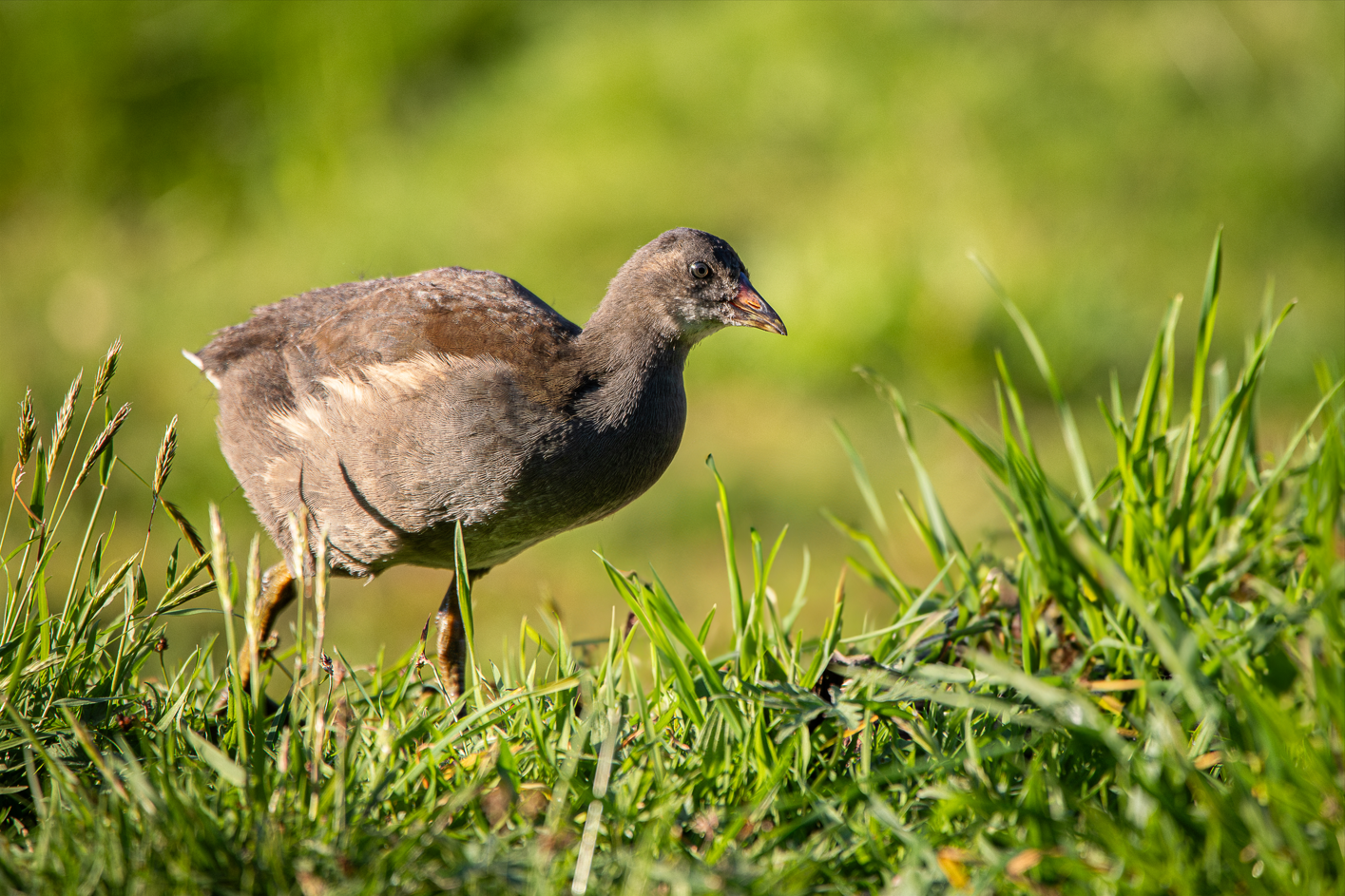 Screenshot (124).png