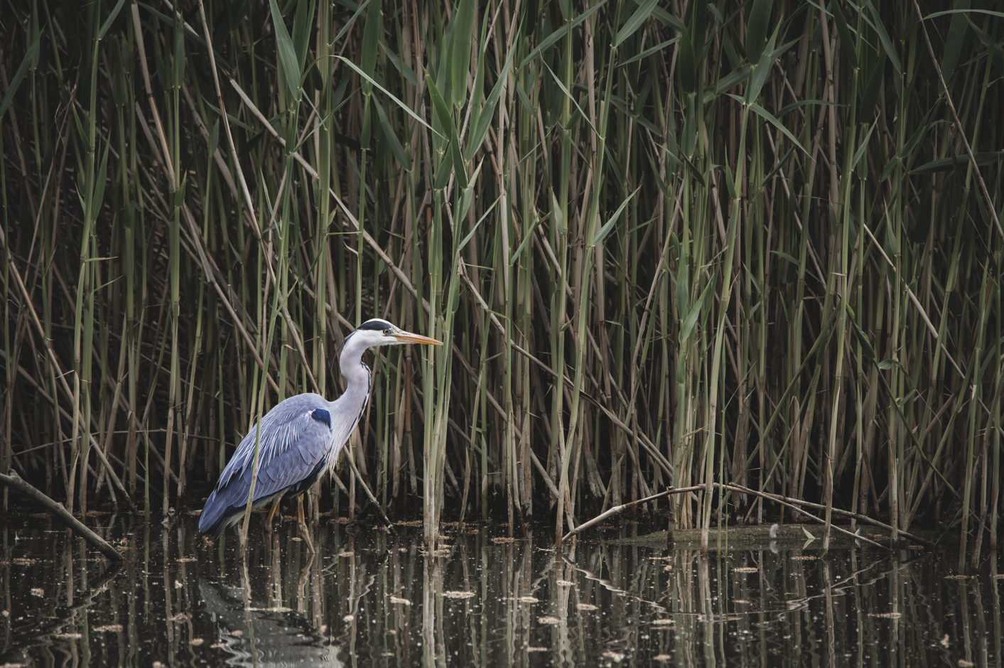 Screenshot (142).png