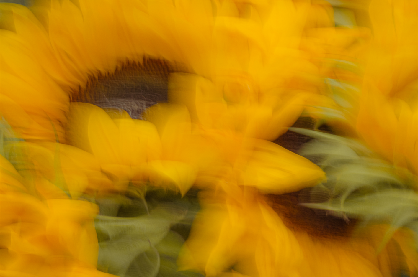 Screenshot (197).png