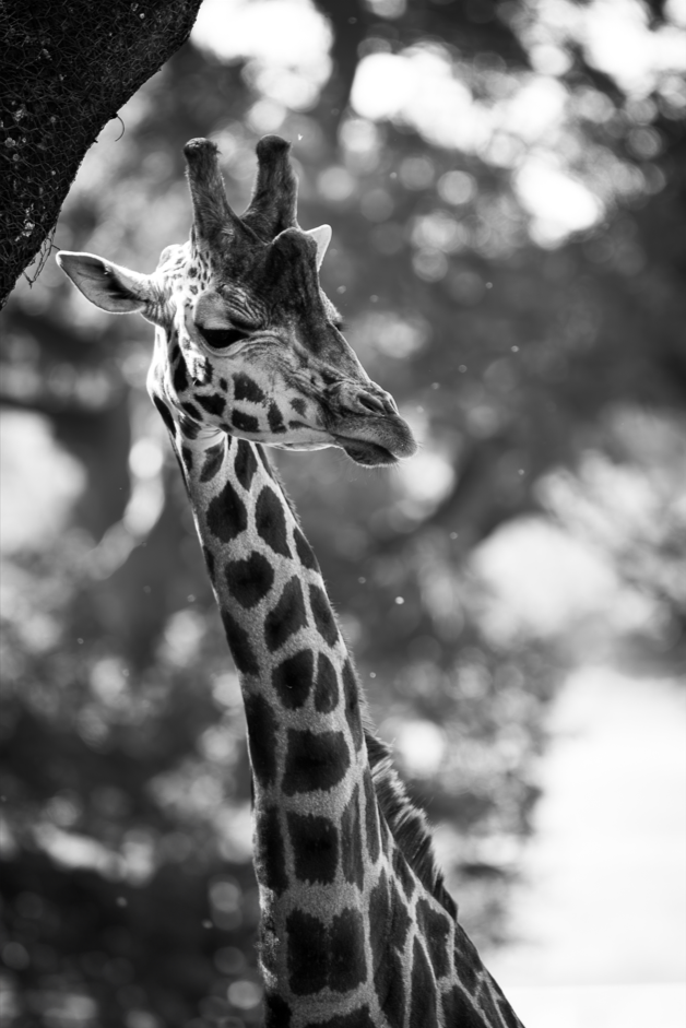 Screenshot (298).png