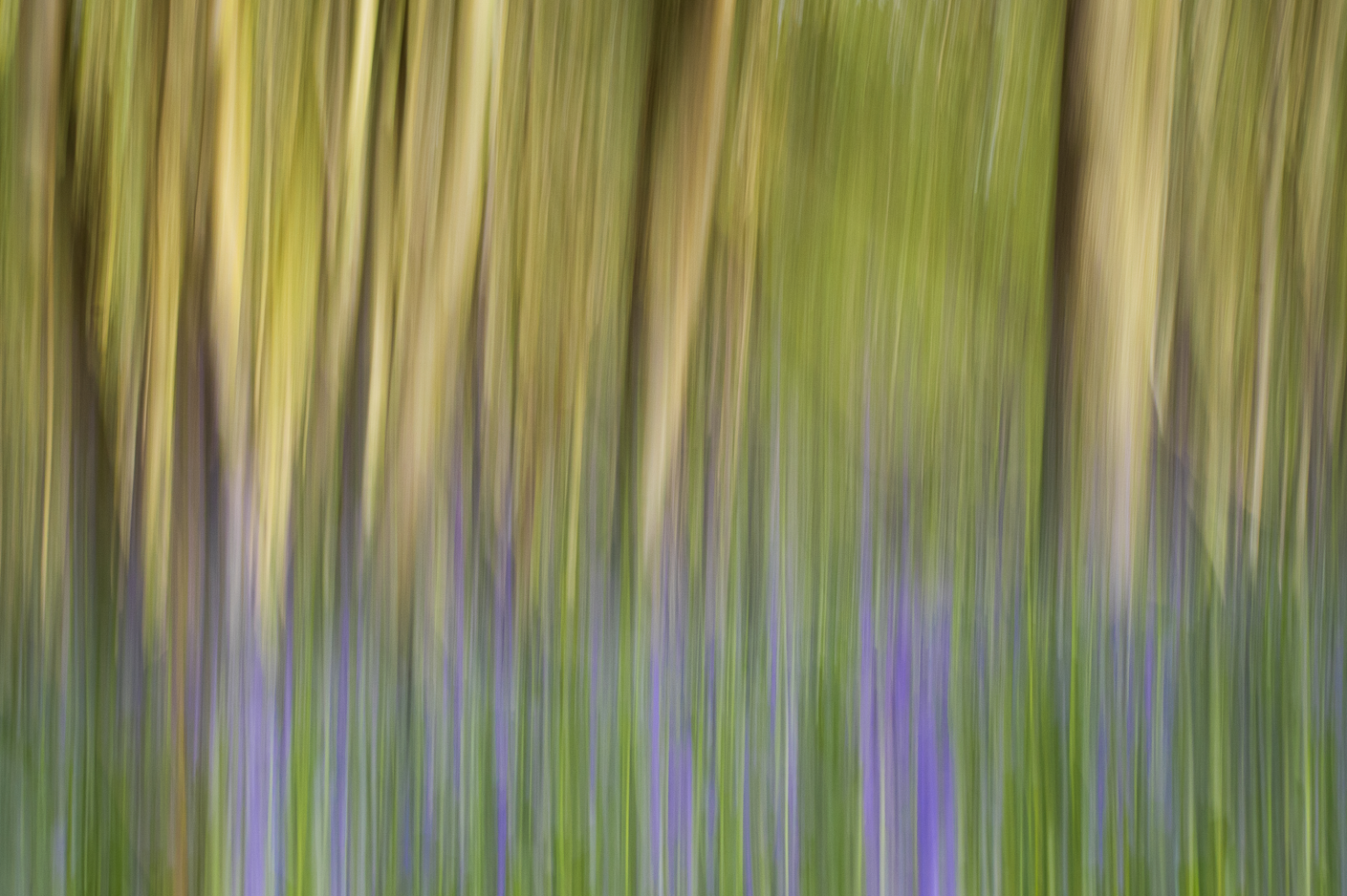 Screenshot (470).png