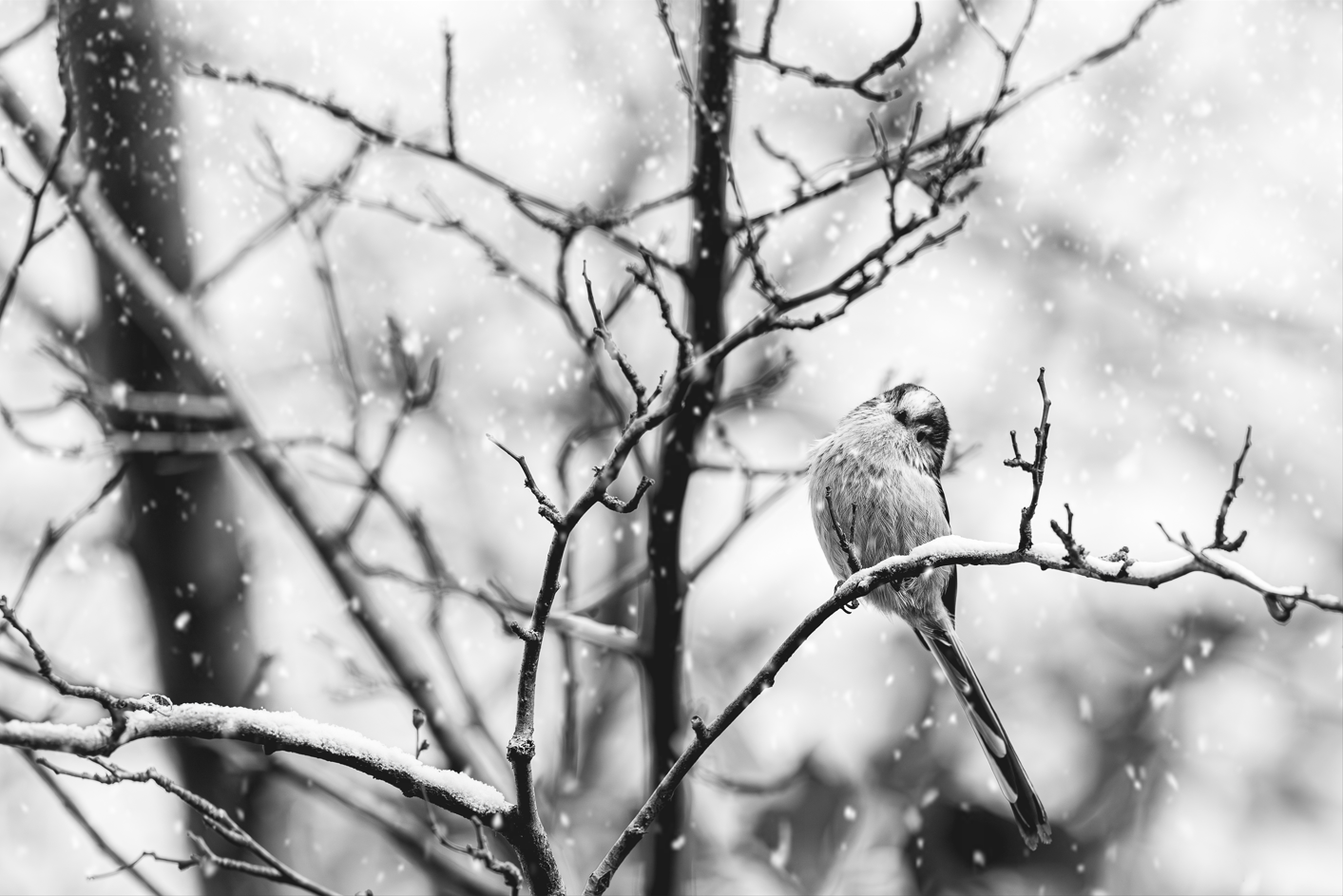 Screenshot (125).png