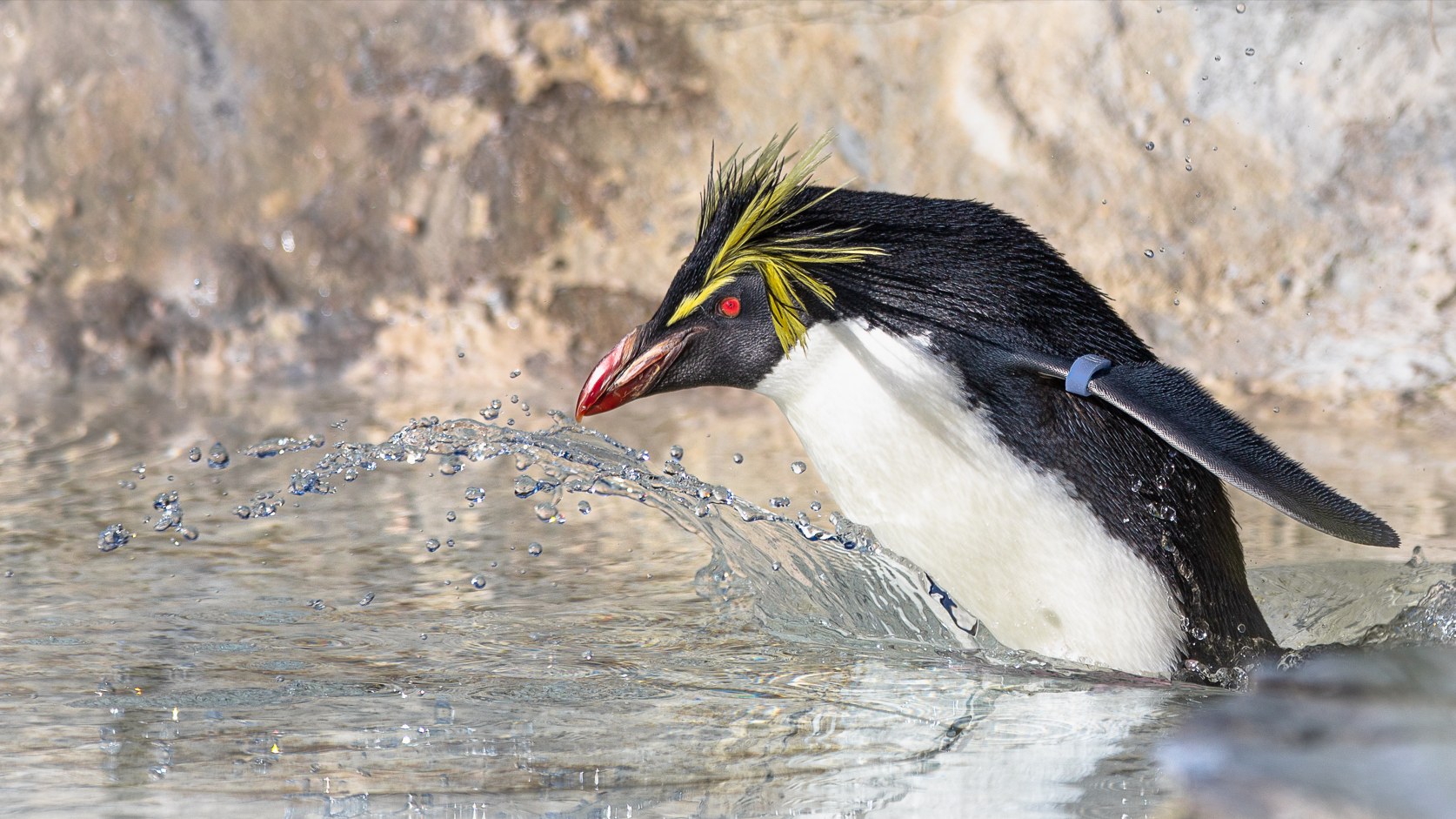 Screenshot (250).png