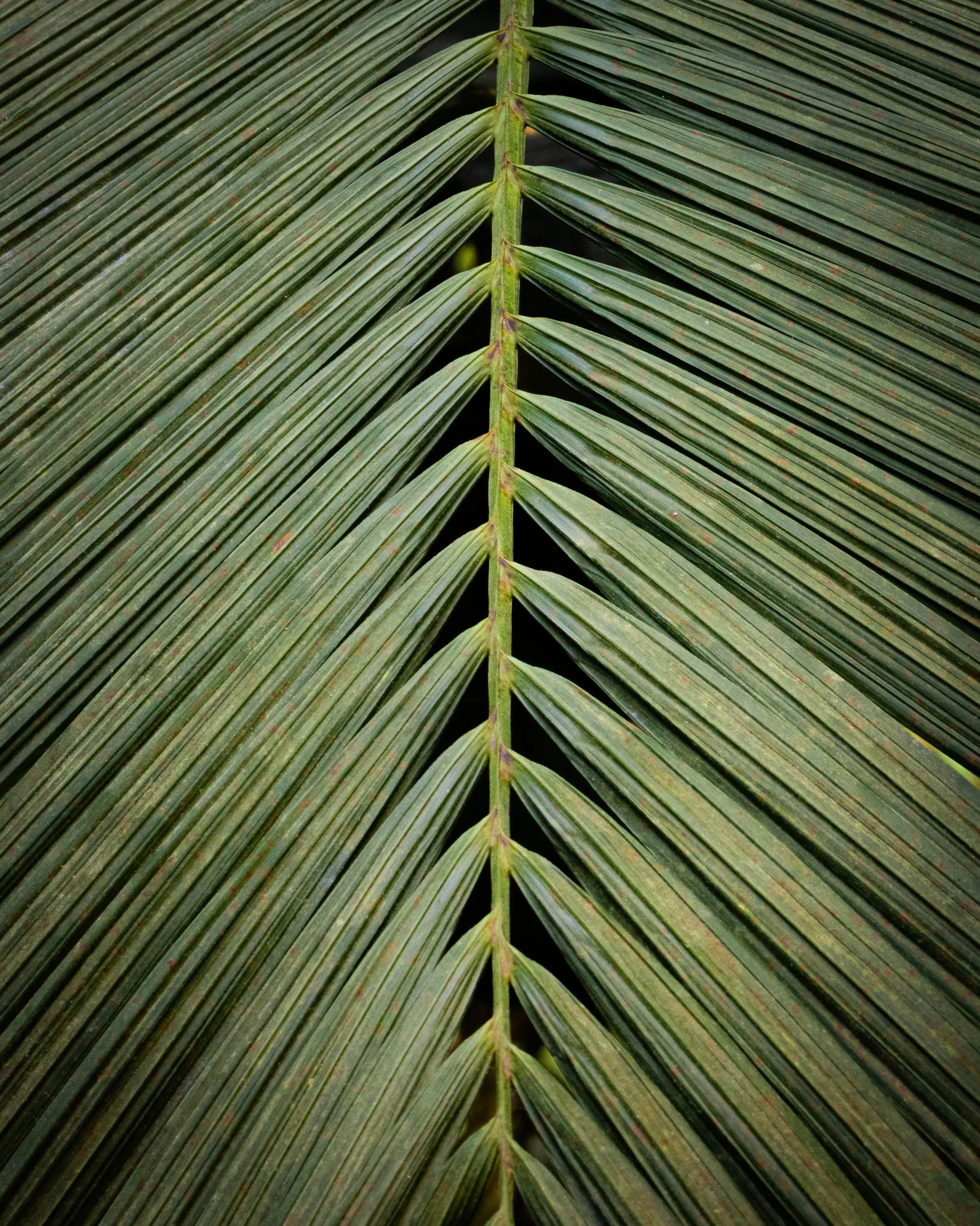 _92A0119.jpg