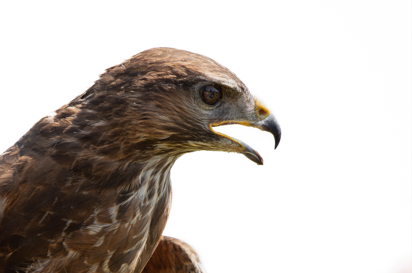 Screenshot (260).png