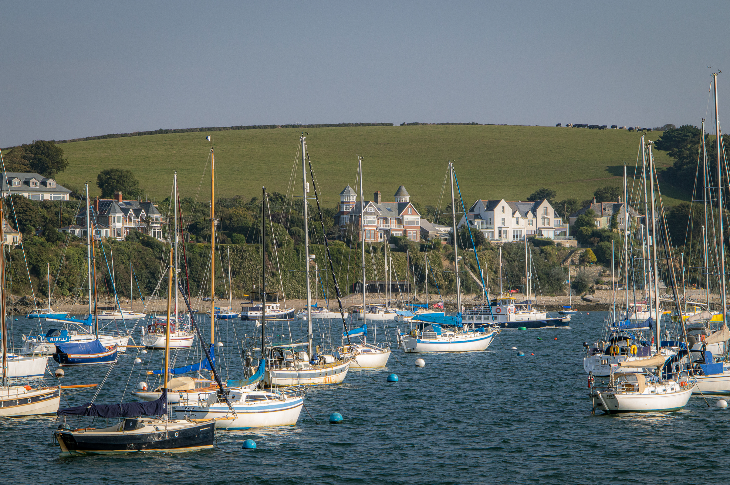 Screenshot 2026-02-05 004416.png