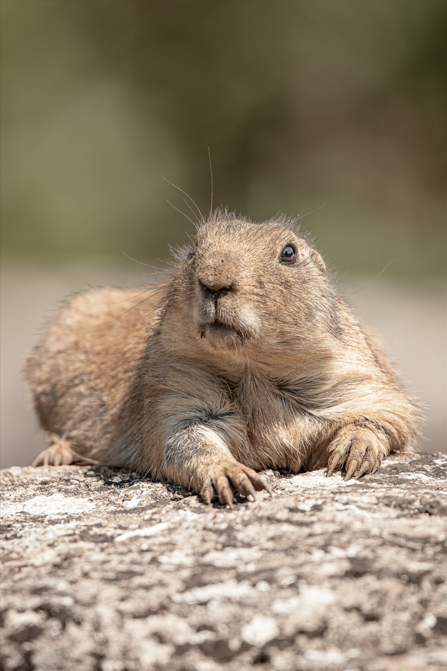 Screenshot (303).png