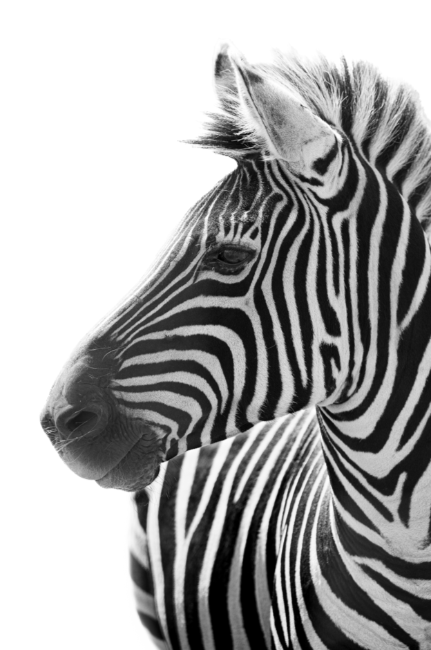 Screenshot (217).png