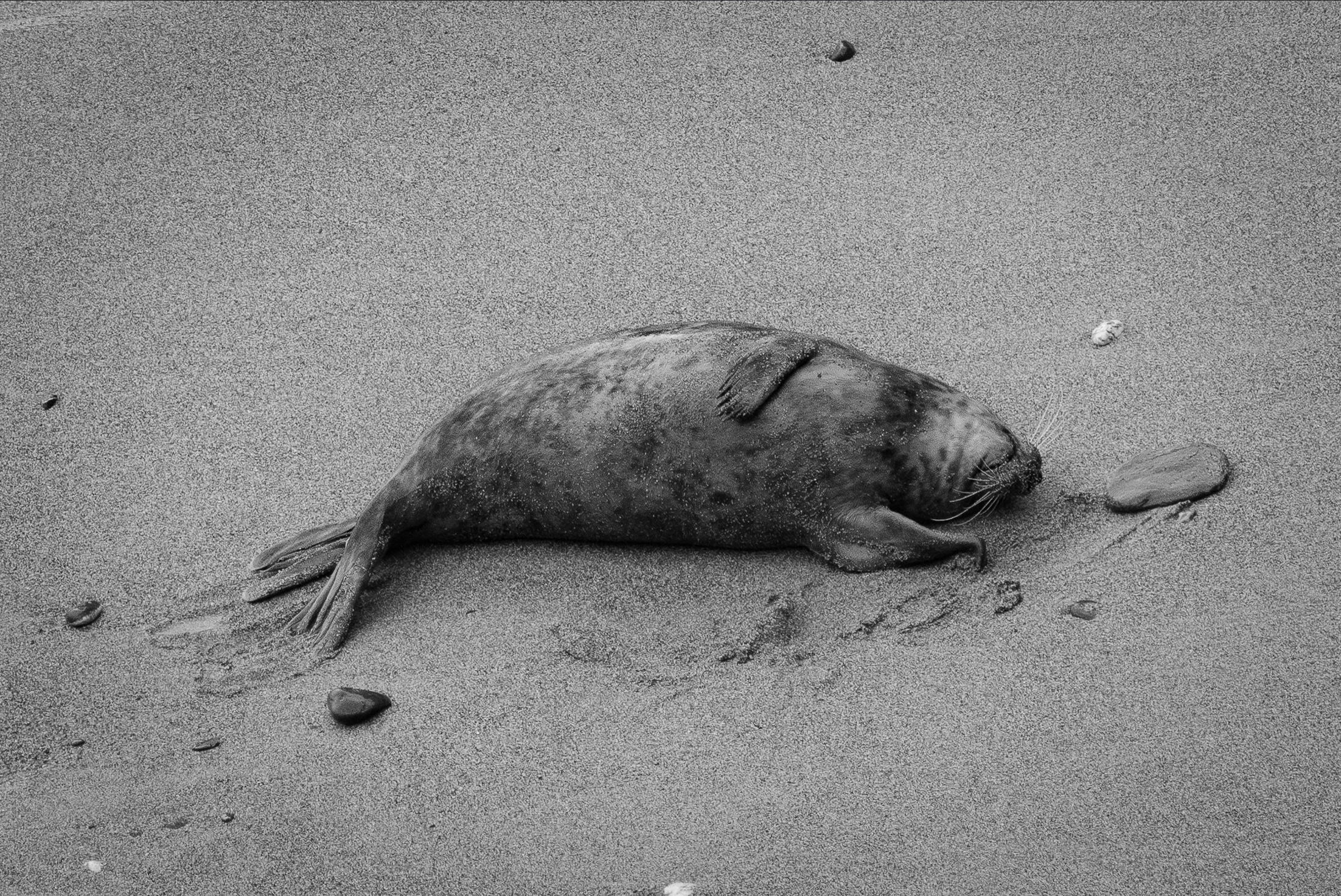 Screenshot 2026-02-04 224517.png