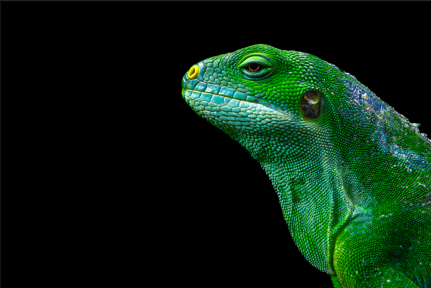 Screenshot (218).png