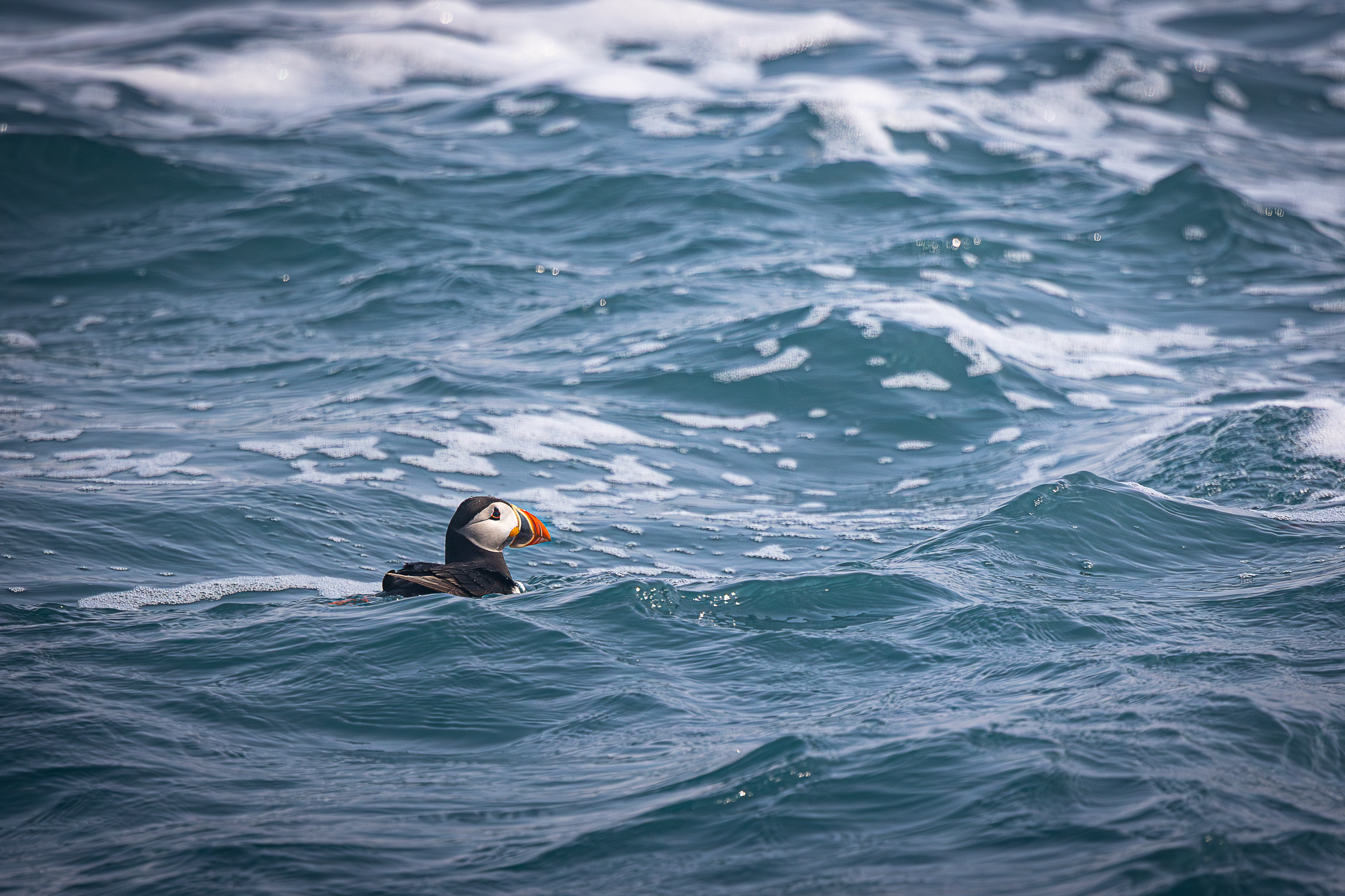 Screenshot 2026-02-05 133119.png