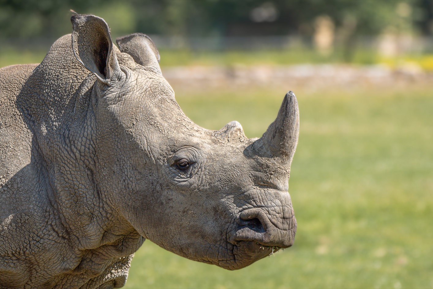 Screenshot (294).png