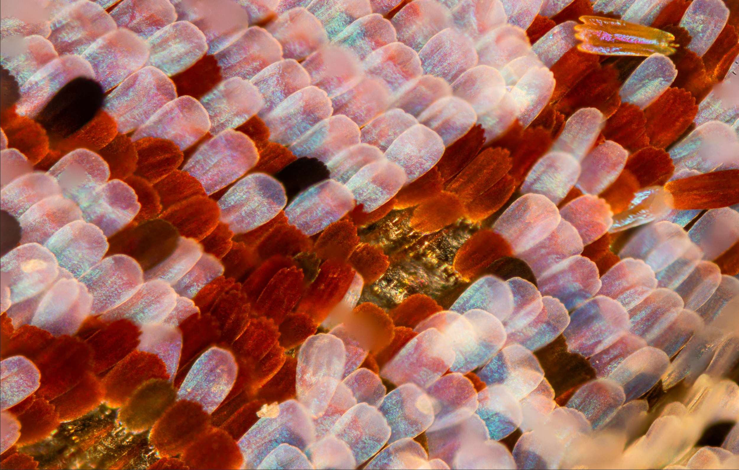 Screenshot 2025-12-20 231445.png