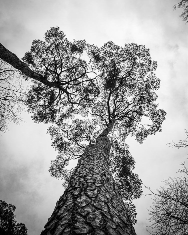 Screenshot (150).png