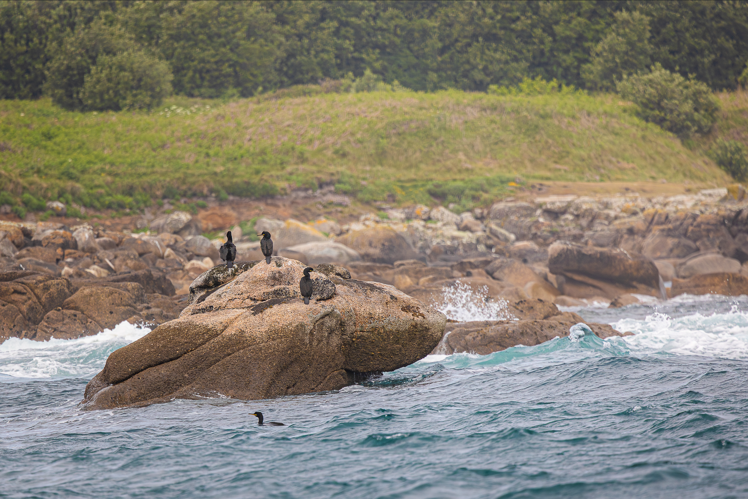 Screenshot 2026-02-04 230838.png