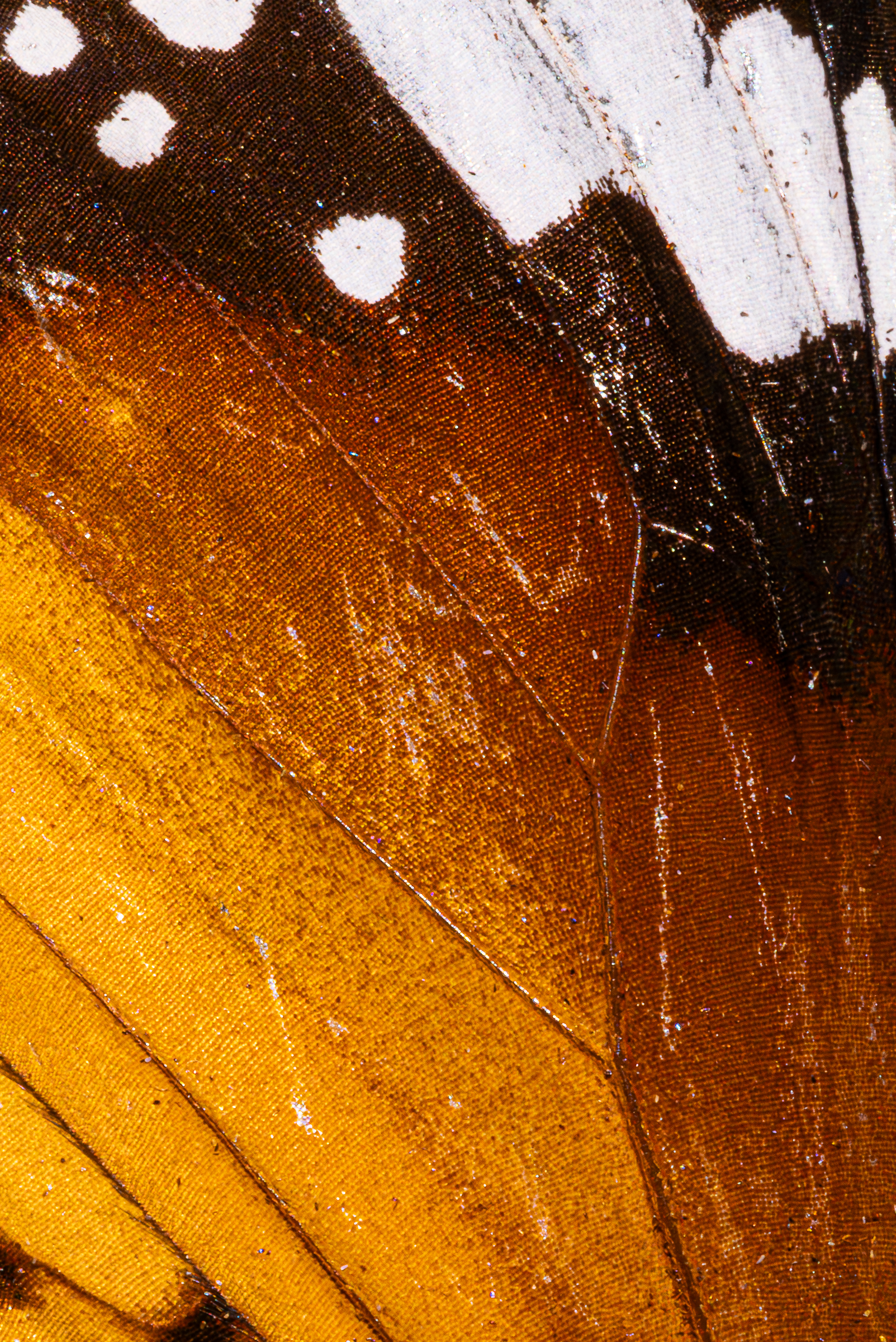 Screenshot 2025-12-20 231011.png