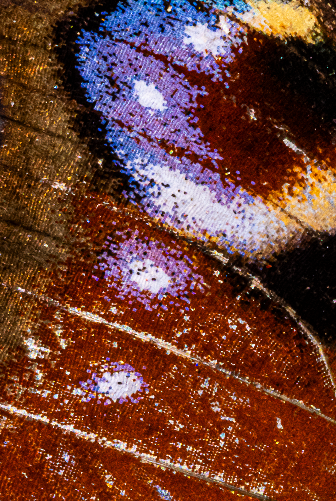 Screenshot 2025-12-20 230909.png