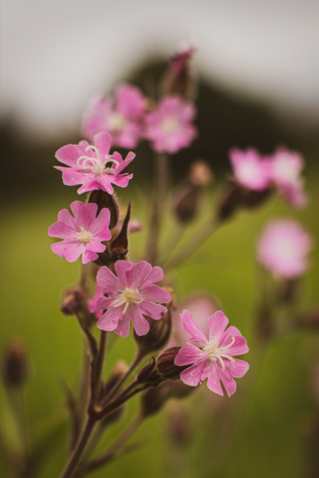 Screenshot (200).png