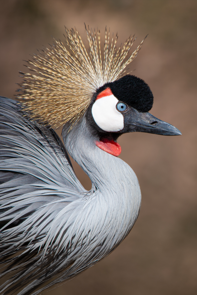 Screenshot (240).png