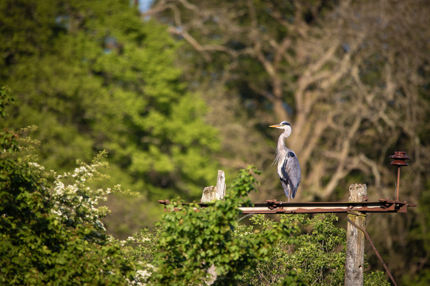 Screenshot (127).png