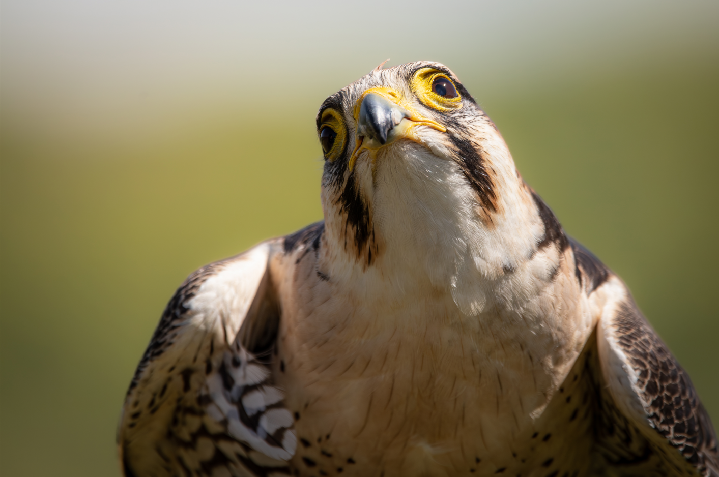 Screenshot (263).png