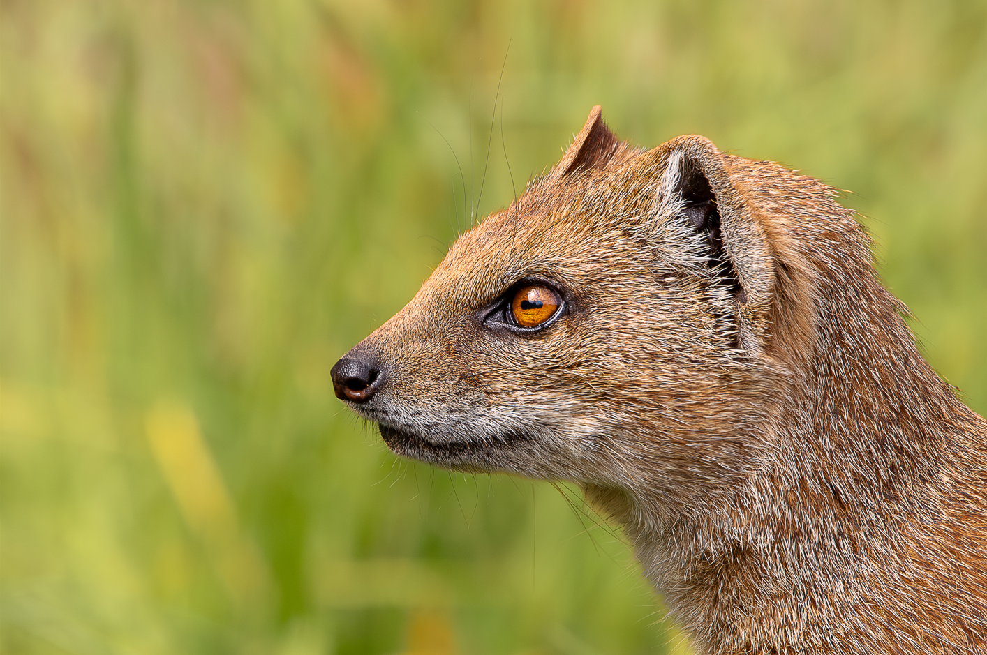 Screenshot (221).png