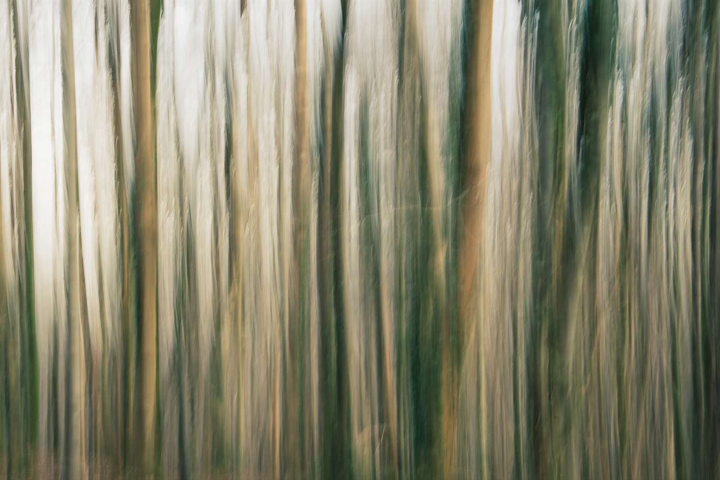 Screenshot (149).png